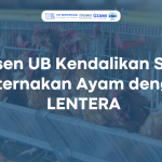 Dosen UB Kendalikan Suhu Peternakan Ayam dengan LENTERA